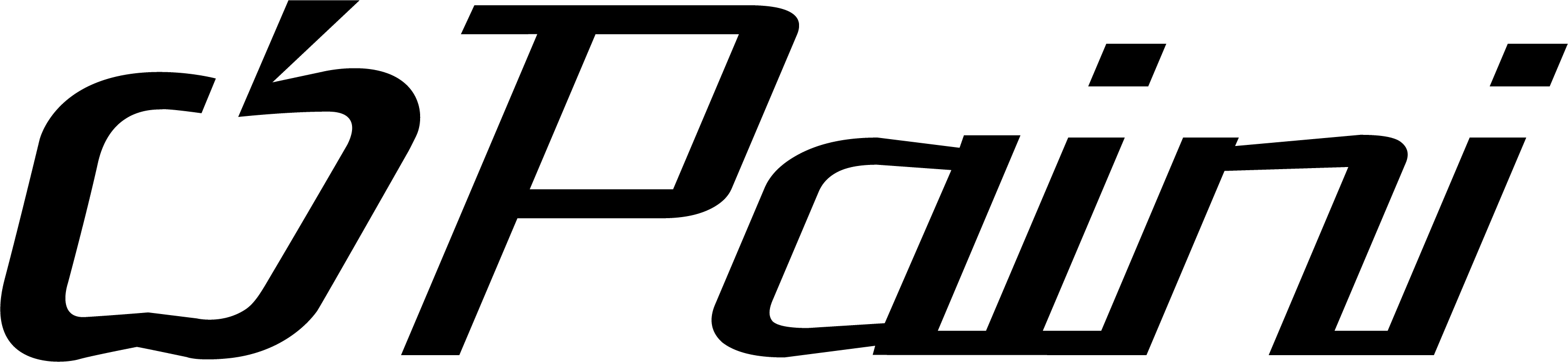 Paini logo